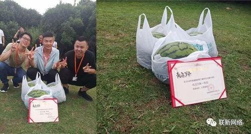 吃瓜大赛冠军视频,揭秘吃瓜大赛冠军的绝技与风采