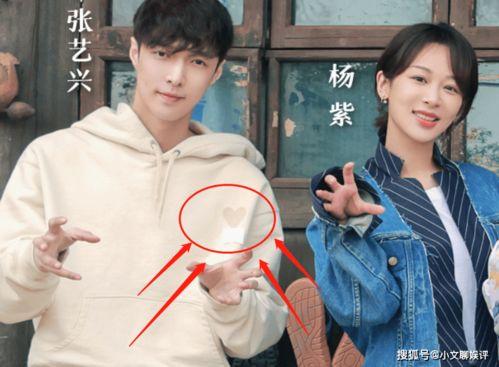 全程吃瓜路人视频在线观看,揭秘热门视频背后的故事