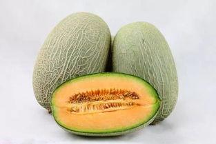 小伙伴吃哈密瓜视频大全,小伙伴们的甜蜜分享时光