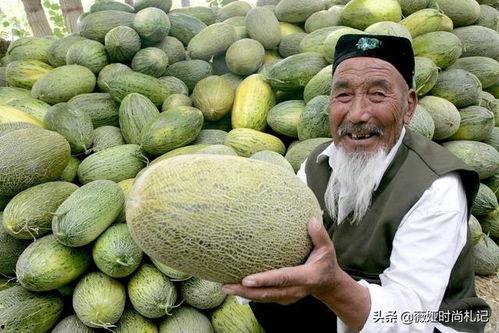 韩国人吃新疆哈密瓜视频,新疆哈密瓜成新宠，美味瞬间征服味蕾