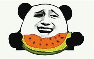 吃瓜群众搞笑视频青蛙,吃瓜群众笑翻天