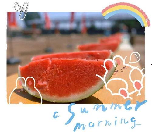 官方大型吃瓜现场视频大全,盘点年度最热话题瞬间