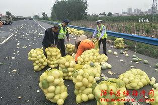 武都网红吃瓜群众视频播放,揭秘视频播放背后的热门现象
