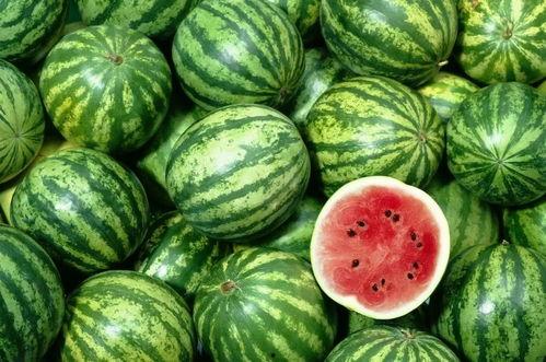 中华民族吃瓜视频下载,揭秘中华民族吃瓜视频下载背后的文化魅力