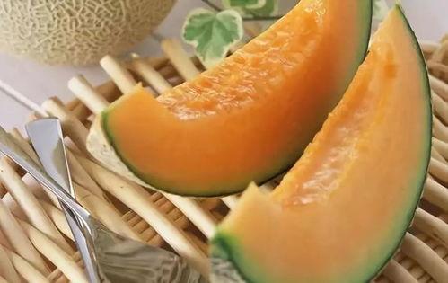如何邀请人吃哈密瓜视频,一起共享甜蜜时光 第2张 如何邀请人吃哈密瓜视频,一起共享甜蜜时光 第2张