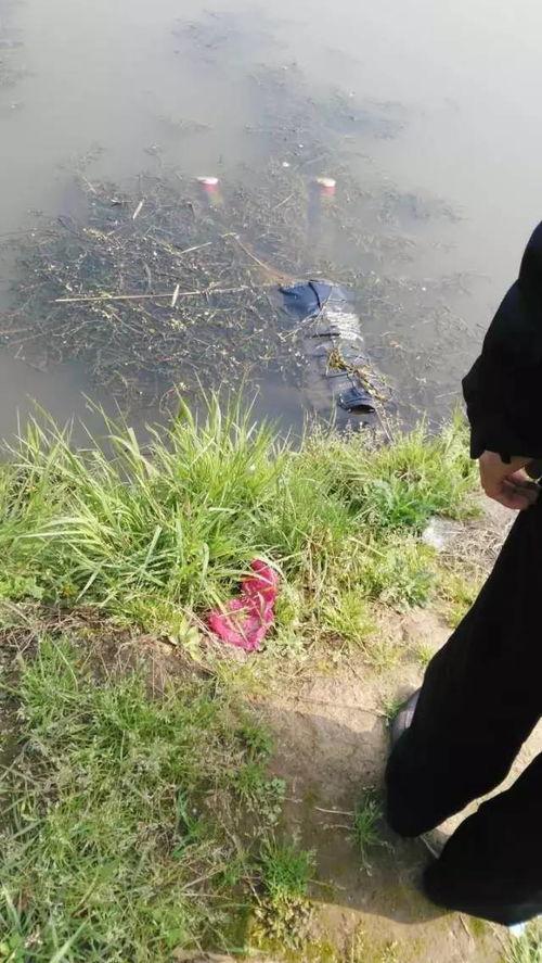 怀宁高河吃瓜事件真相视频,真相视频曝光背后的惊人内幕