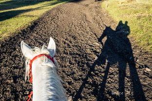 新疆老汉瓜爽吃视频,传统美食魅力无限 第2张 新疆老汉瓜爽吃视频,传统美食魅力无限 第2张