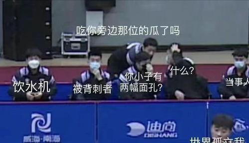 国乒男团吃瓜视频完整版,揭秘赛场背后的欢乐瞬间 第2张 国乒男团吃瓜视频完整版,揭秘赛场背后的欢乐瞬间 第2张
