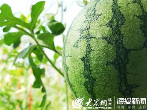 马边的吃瓜视频,揭秘娱乐圈幕后故事 第3张 马边的吃瓜视频,揭秘娱乐圈幕后故事 第3张