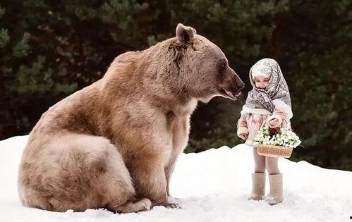 俄罗斯棕熊吃瓜视频大全,萌态十足! 第2张 俄罗斯棕熊吃瓜视频大全,萌态十足! 第2张