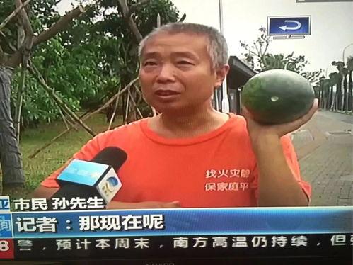 热门事件吃瓜公众号视频,吃瓜群众视角下的视频解析 第2张 热门事件吃瓜公众号视频,吃瓜群众视角下的视频解析 第2张