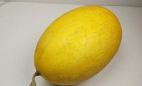 美女夏天吃哈密瓜的视频,清凉一夏的美味时光 第2张 美女夏天吃哈密瓜的视频,清凉一夏的美味时光 第2张