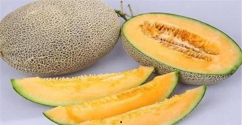 美女夏天吃哈密瓜的视频,清凉一夏的美味时光 第3张 美女夏天吃哈密瓜的视频,清凉一夏的美味时光 第3张