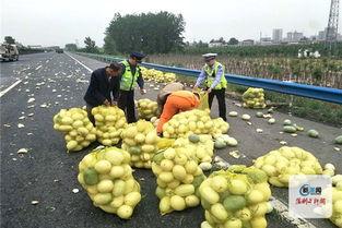 河南省实验事件视频吃瓜,一场网络舆论的风暴与反思  第2张