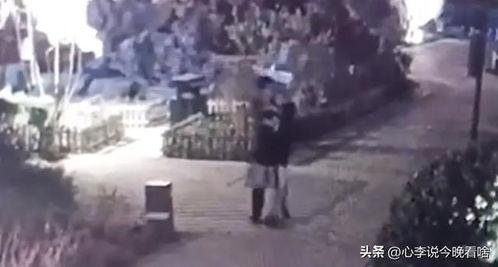 吃瓜翻唱视频完整版,带你领略音乐魅力  第2张