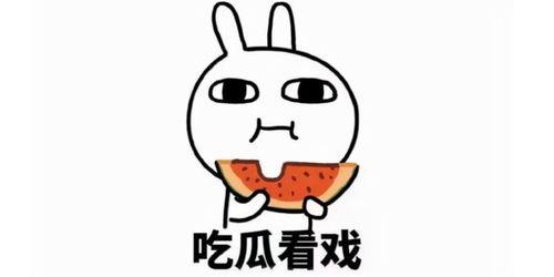 伤感的吃瓜视频素材下载,揭开生活背后的心酸面纱  第2张