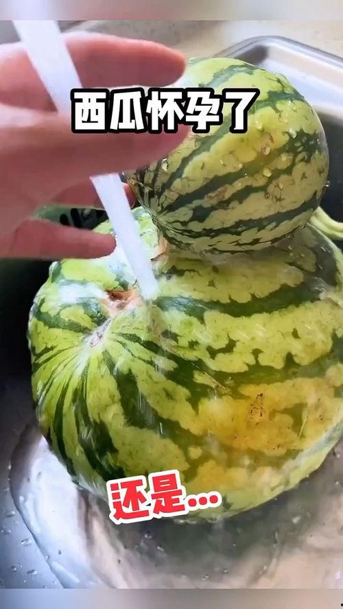 寝室搞笑吃瓜视频,笑料横飞,欢乐无限 第2张 寝室搞笑吃瓜视频,笑料横飞,欢乐无限 第2张