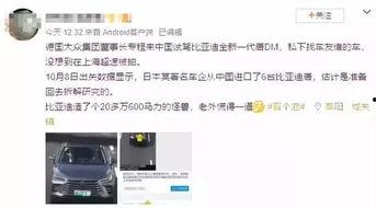 新年群众吃瓜视频,全民围观趣味视频  第2张