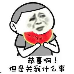 郑州吃瓜群众小强视频曝光,揭秘城市生活百态  第2张