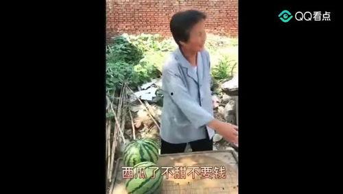 吃瓜视频搞笑集锦,笑料横生!吃瓜视频搞笑集锦大盘点 第3张 吃瓜视频搞笑集锦,笑料横生!吃瓜视频搞笑集锦大盘点 第3张