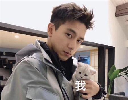 李现视频吃瓜,揭秘娱乐圈幕后故事  第3张