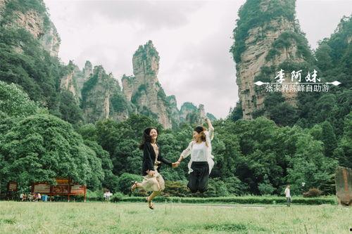 张家界吃瓜结局视频下载,结局揭秘，真相大白！  第2张