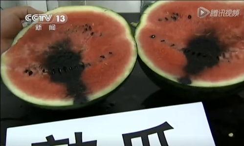 台湾角落吃瓜视频,揭秘吃瓜群众的日常趣事